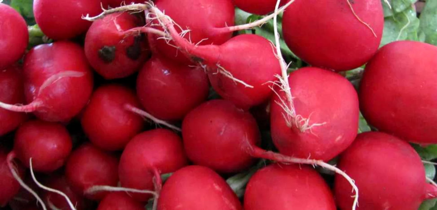 Datorită efectului puternic detoxifiant pe care îl au asupra stomacului 
şi ficatului, ridichile facilitează eliminarea toxinelor.