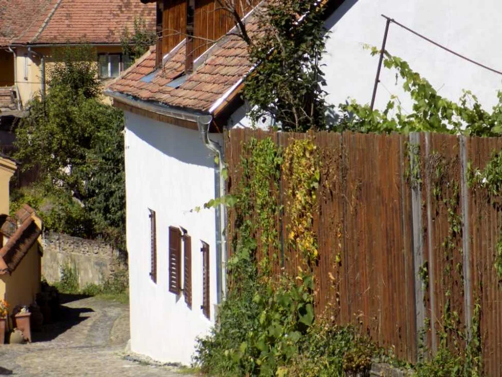sighisoara
