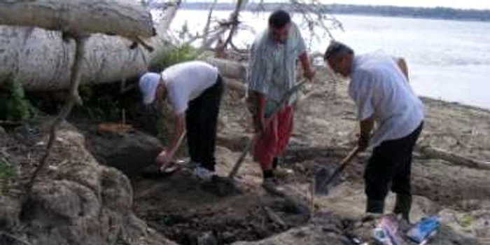 Turnu Severin: Locuințe din epoca bronzului descoperite pe insula Gârla Mare