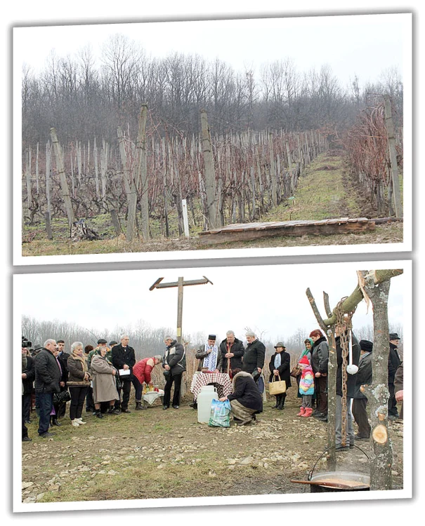 Oamenii au luat apă sfinţită ca să stropească viile