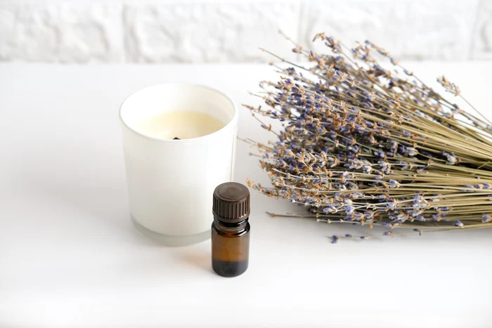 1 lavanda jpg jpeg