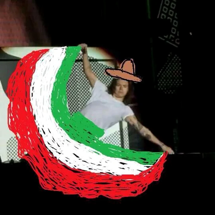 Fanii l-au taxat pe Harry Styles, după căzătura din concertul One Direction