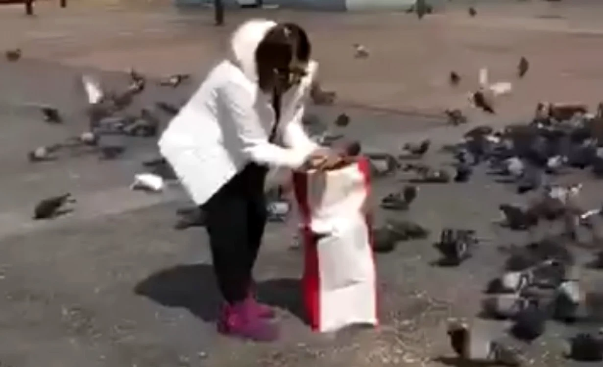 Niculina Stoican le-a oferit mâncare porumbeilor