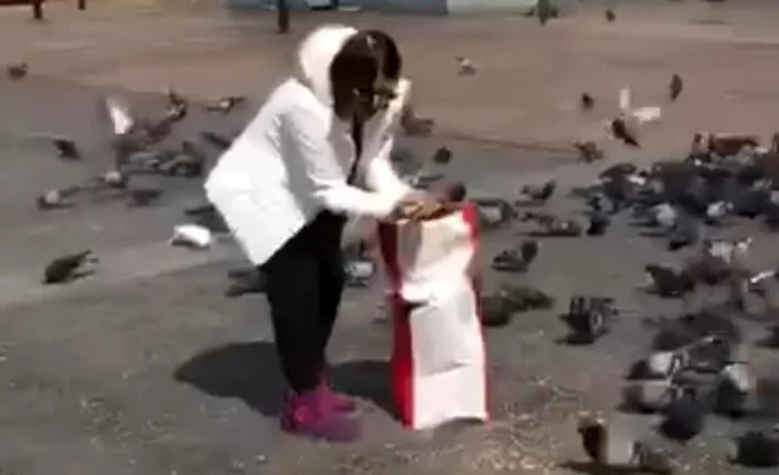 Niculina Stoican le-a oferit mâncare porumbeilor