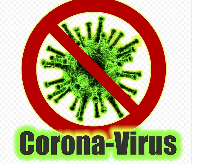 Gorjeanul infectat cu coronavirus a fost testat pentru a doua oară, ambele rezultate ieșind negativeFoto: Pixabay