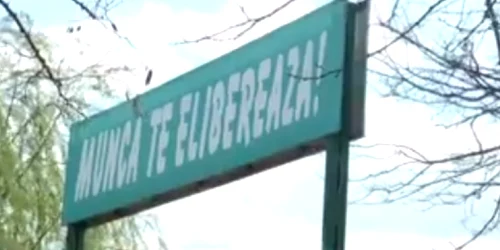 Munca te elibereaza