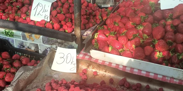 Eco Piata Iasi 1 jpg