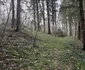 Cripta familiei Lazar din Lăpușnic Foto Daniel Guță ADEVĂRUL (1) jpg