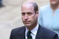 printul william