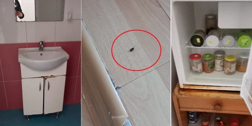 Condițiile din Azilul Casanova din Râmnicu Vâlcea descoperite de autorități Colaj jpg