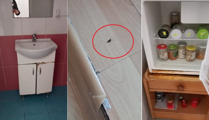 Condițiile din Azilul Casanova din Râmnicu Vâlcea descoperite de autorități Colaj jpg