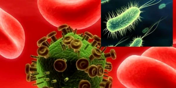 Locurile de unde poţi lua viruşi şi boli contagioase