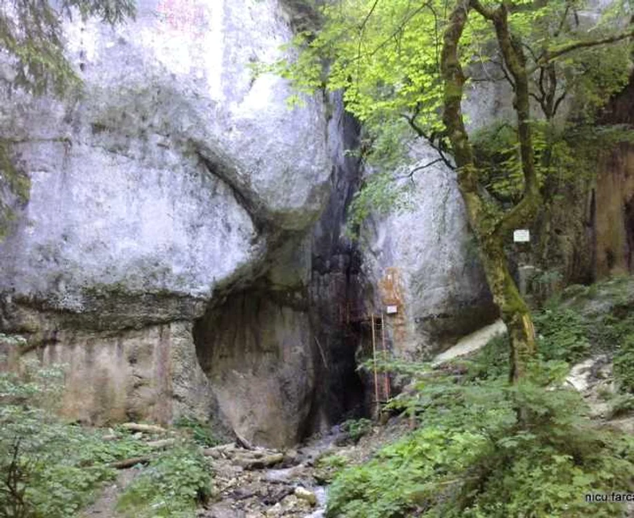 canion sapte scari