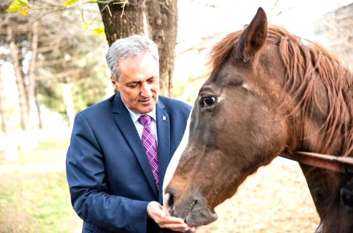 Ministrul de Interne Marcel Vela s-a dus să le ofere alinare cailor ce urmează să fie adoptațiFotografii: Ministerul de Interne