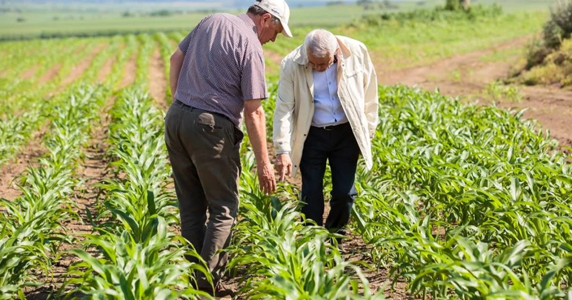 Ministrul Petre Daea în vizită la Iaşi FOTO Consiliul Judeţean