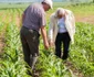 Ministrul Petre Daea în vizită la Iaşi FOTO Consiliul Judeţean