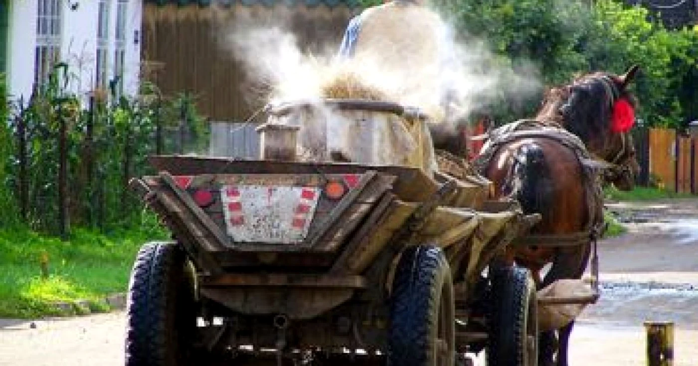 Suceava: Şi-a omorât soţia în fuga calului
