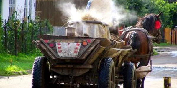 Suceava: Şi-a omorât soţia în fuga calului