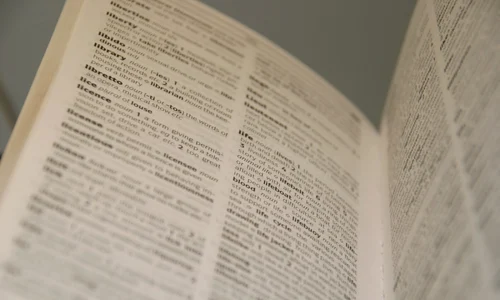 Dictionar FOTO Shutterstock