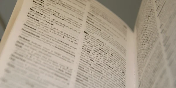 Dictionar FOTO Shutterstock
