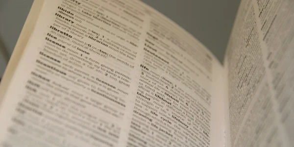 Dictionar FOTO Shutterstock