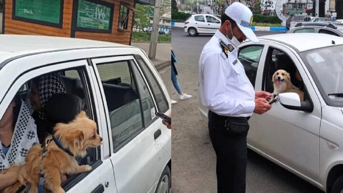 În Iran, plimbarea câinilor este interzisă FOTO: X