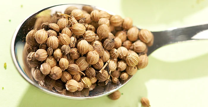 Coriandrul - împotriva  pietrelor la rinichi