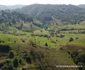Satul Negoiu din Lunca Cernii de Jos, Hunedoara, Foto Daniel Guță, ADEVĂRUL (34) JPG
