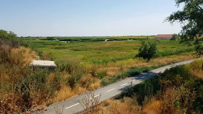 Cum arată pista de biciclete Timişoara-Zrenjanin pe partea sârbească FOTO Bartha Csaba