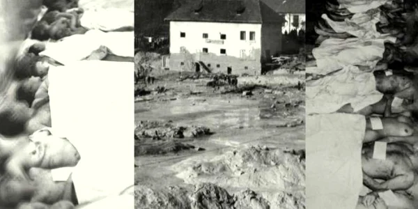 certej