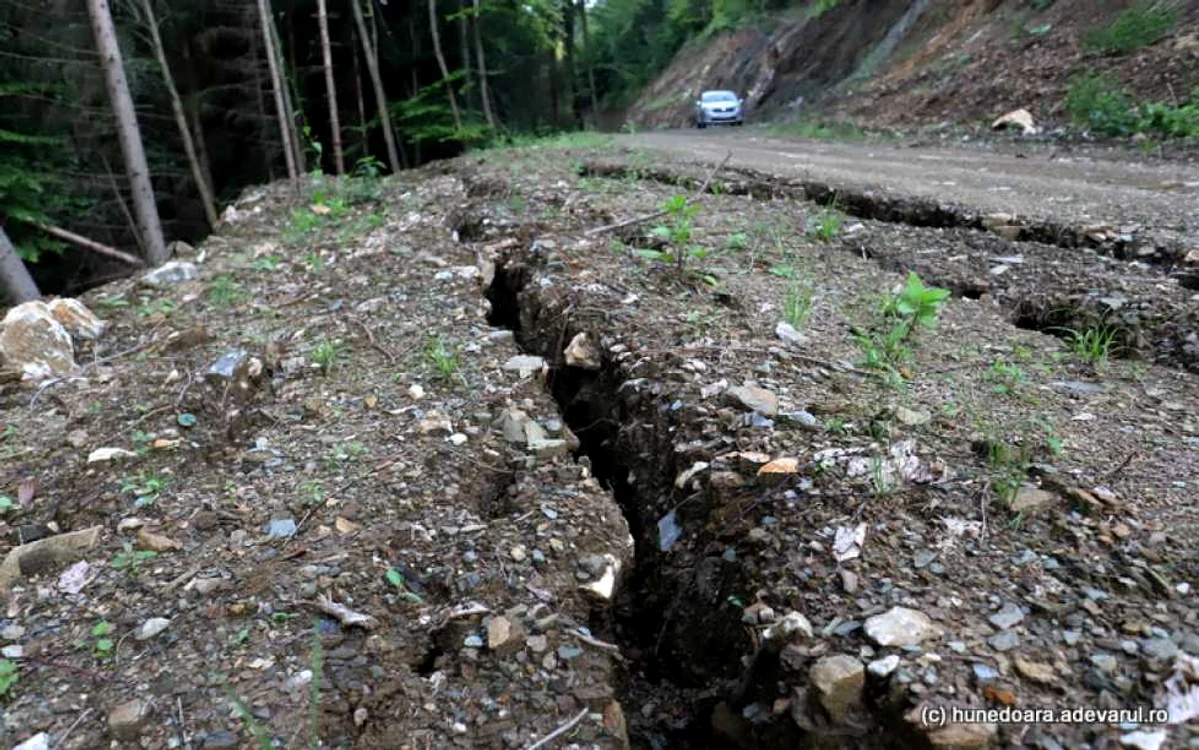 Drumul spre Vadu Dobrii. ADEVĂRUL.