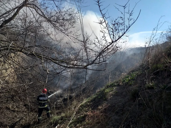 incendiu vegetatie Braila FOTO ISU Brăila 2