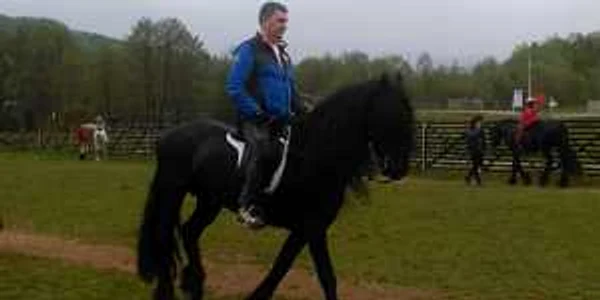 Horse Spirit