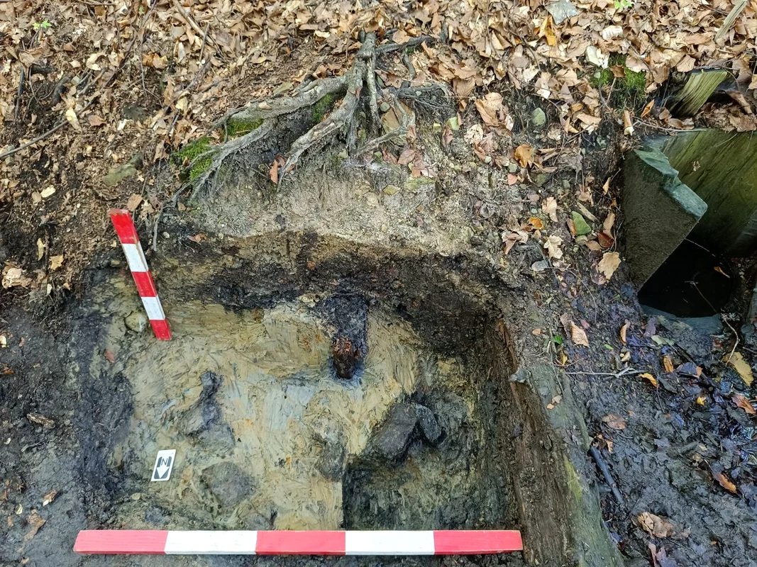 Cel mai mic sit arheologic din România (© Facebook / Vasile Diaconu - archaeologist)