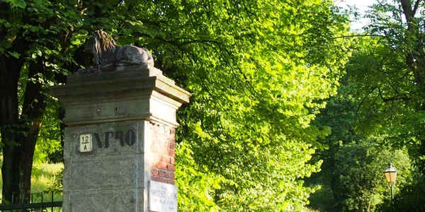 Leu in Torino