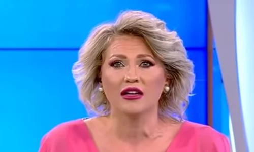 mirela vaida png