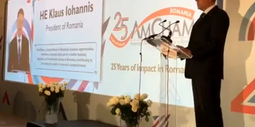 iohannis amcham