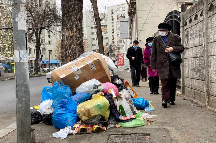 
    Clotilde Armand se ceartă la cuțite cu colegii săi de la PNL  