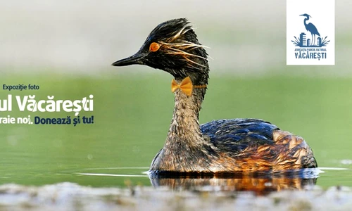 1 70797 original jpg jpeg