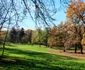 4 parcul sub arini jpg jpeg