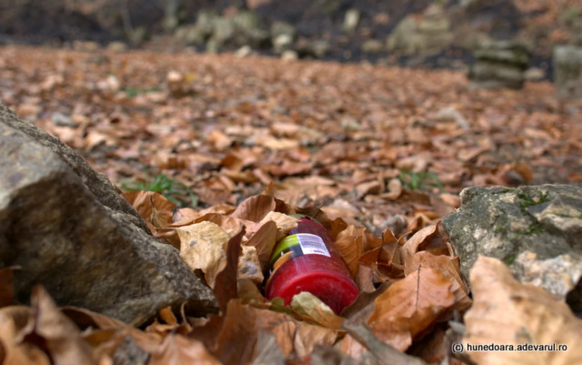fetele albe foto adevarul daniel guta