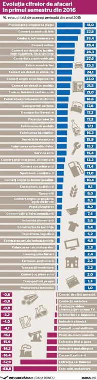 INFOGRAFIE CIFRA DE AFACERI top afaceri sem 1 2016