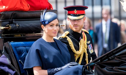 harry profimedia jpg