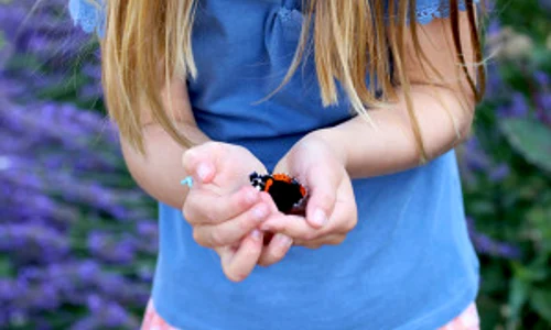 1 princess charlotte jpg jpeg