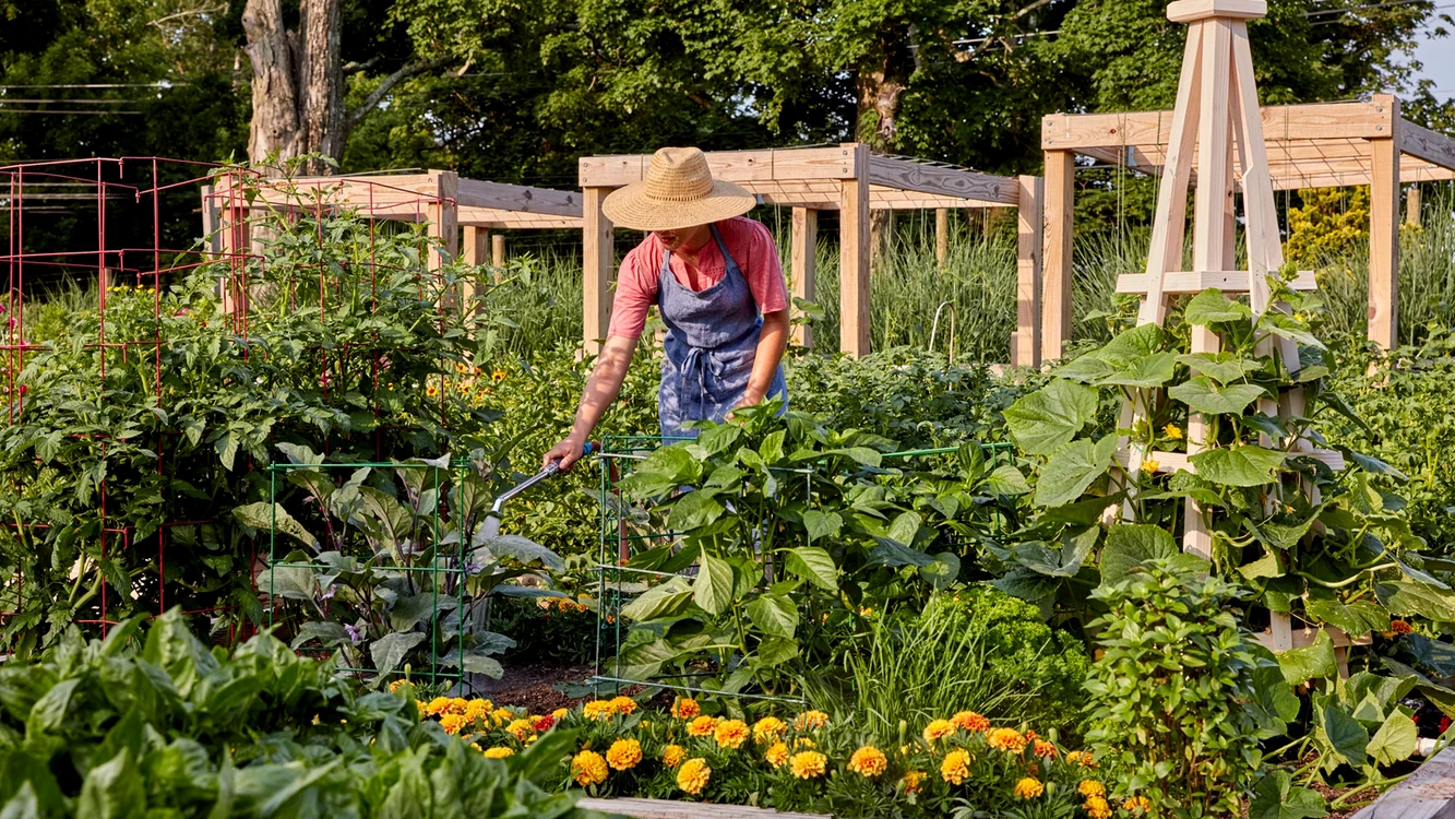 Grădină mixtă de flori, legume și fructe - plante udate de o grădinăreasă Sursă Burpee Seeds jpg