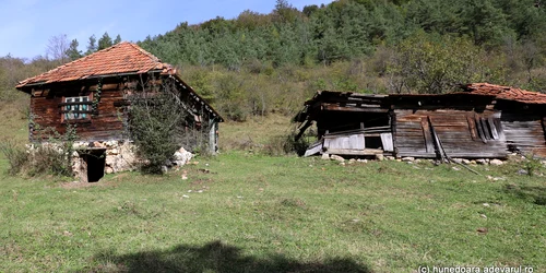Ponorici  Munții Șureanu  Foto Daniel Guță ADEVĂRUL (20) JPG