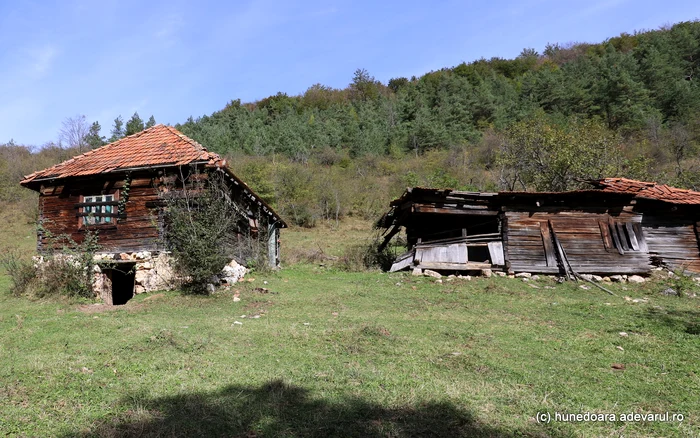 Case pustii din Ponorici. Foto: Daniel Guță. ADEVĂRUL