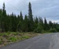 DN 7A Noua Transalpina  Foto Daniel Guță ADEVĂRUL (7) jpg