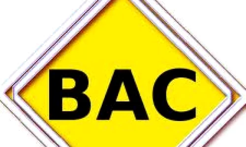 bacalaureat 2014 totul despre calendar subiecte si rezultate bac 2014 jpeg