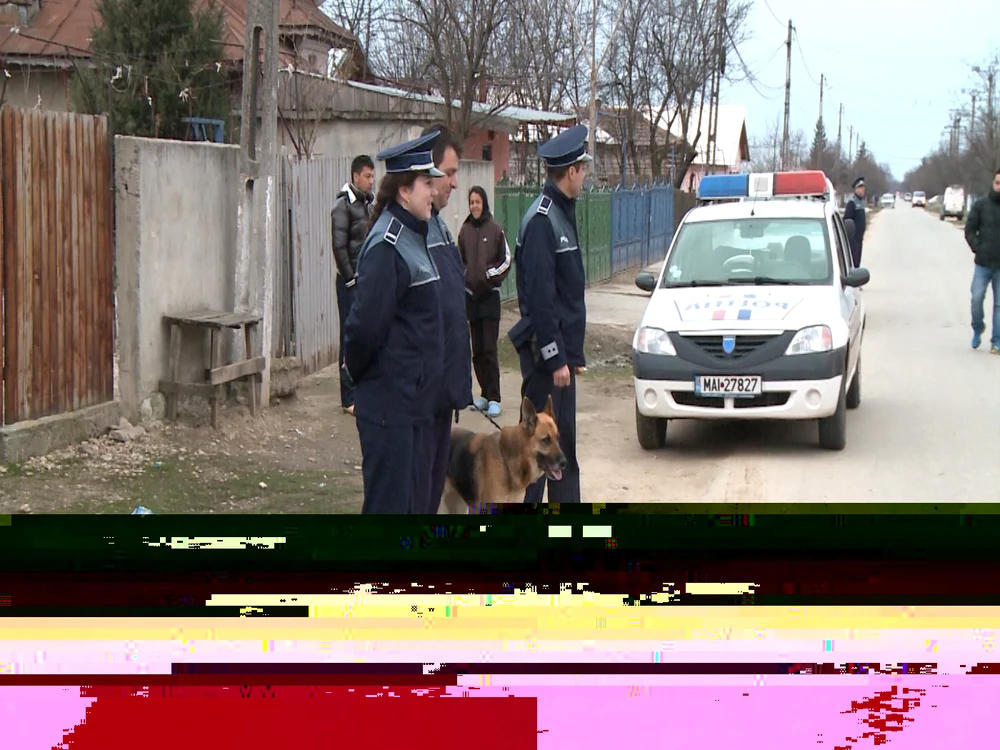 Percheziţiile au avut loc vineri. FOTO: Arhivă Adevărul